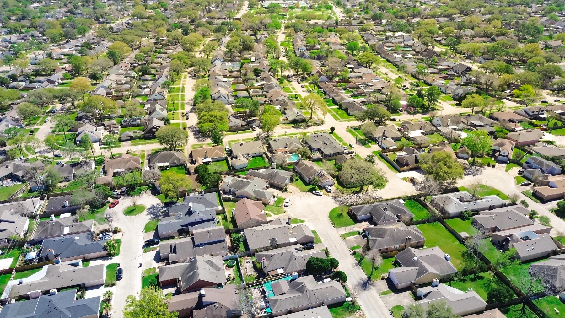 Aerial view of tree-lined residential homes